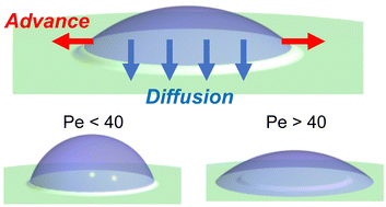 Diagram of advancing and diffusion-controlled wetting on a hydrogel