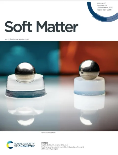 Soft Matter inside cover artwork showing a swollen hydrogel